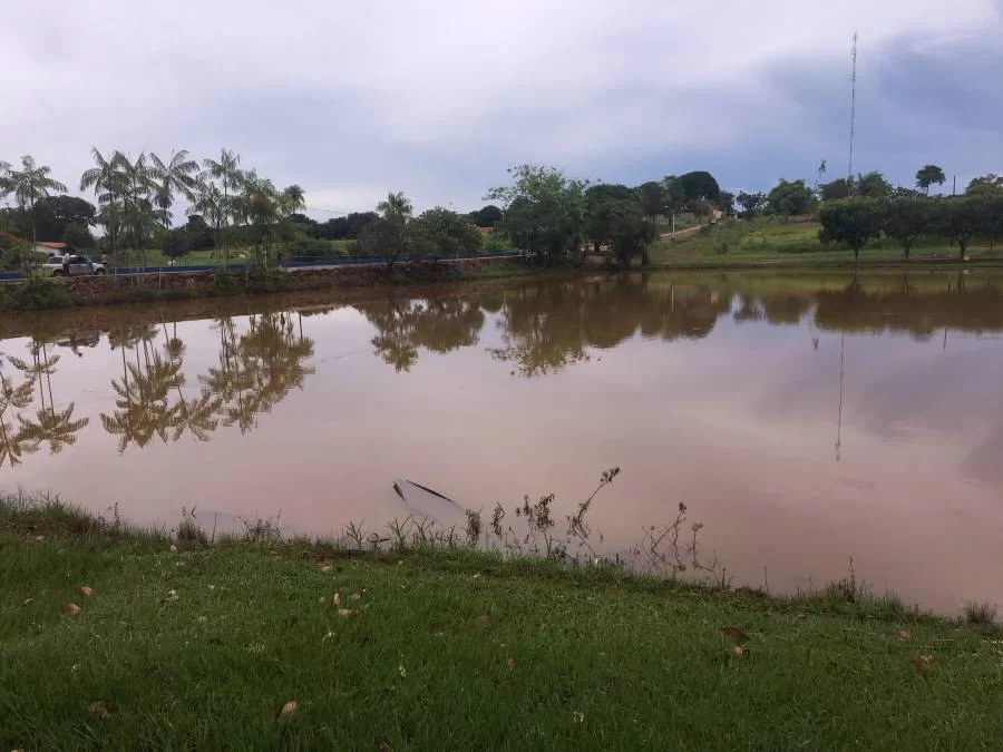 Principal cartÃÂ£o postal de Colinas sofre com mortandade de peixes