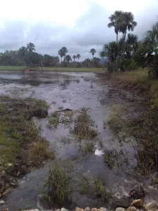 BalneÃÂ¡rio de Bandeirante do Tocantins rompe com o aumento de chuvas na regiÃÂ£o