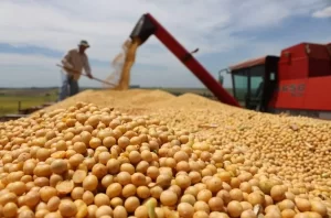 Conab indica que Brasil deve produzir 238,9 milhÃÂµes de toneladas de grÃÂ£os