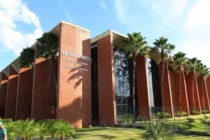 Pleno do TJTO admite IRDR que busca pacificar entendimento em julgamento de processos sobre emprÃÂ©stimo bancÃÂ¡rio a idosos analfabetos