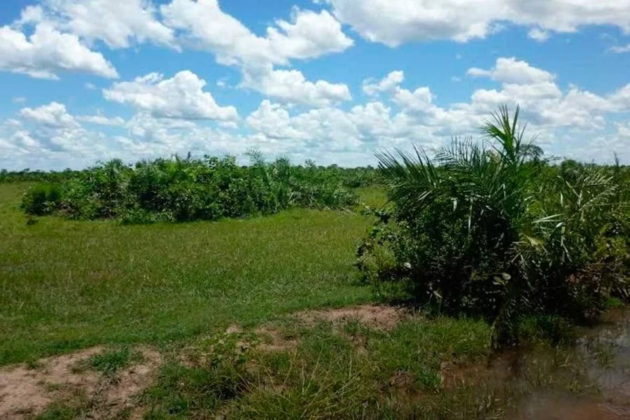 MP denuncia empresÃÂ¡rios rurais por desmatarem mais de 1,5 mil hectares em reservas naturais