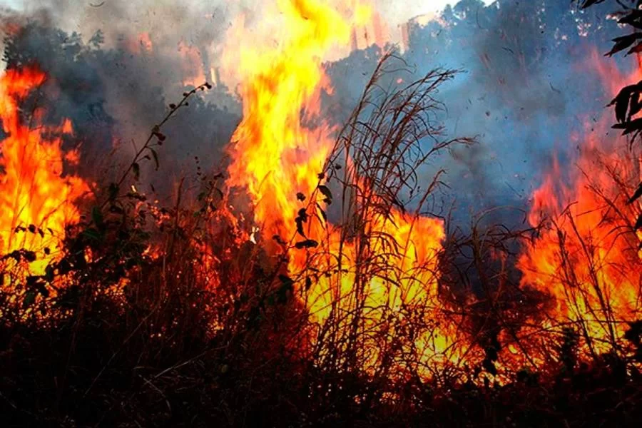 Estado decreta risco de desastre ambiental em 11 municÃÂ­pios do Tocantins