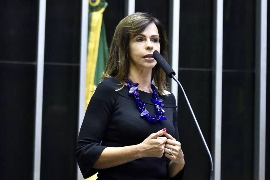 Mulher Democratas promove seminÃÂ¡rio sobre participaÃÂ§ÃÂ£o feminina na polÃÂ­tica nesta terÃÂ§a