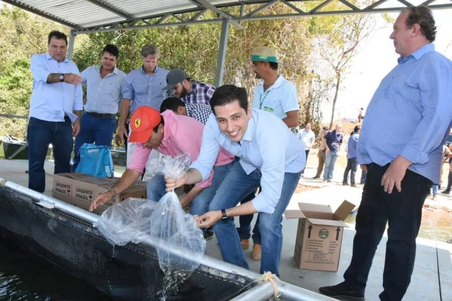 Em Brejinho, Olyntho comemora lanÃÂ§amento de criaÃÂ§ÃÂ£o de tilÃÂ¡pias em tanques rede