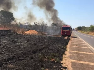 Bombeiros combatem incÃªndio que atingiu vegetaÃÂ§ÃÂ£o ÃÂ s margens da BR-153, prÃÂ³ximo a Colinas
