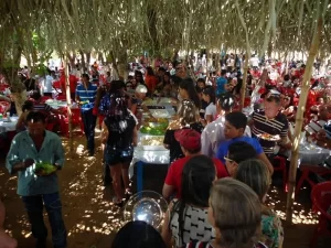 Festa do Boi no Rolete da APAE de Colinas completa 20 anos neste domingo, (01)