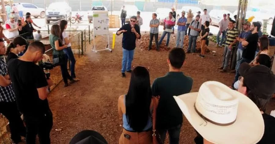 ExpoPalmas 2019 terÃÂ¡ cursos e palestras durante o dia e shows a noite