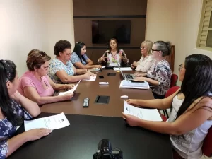 1ÃÂº ReuniÃÂ£o da ComissÃÂ£o Executiva do MDB Mulher biÃªnio 2019-2021