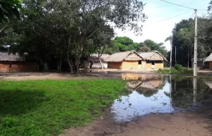 JustiÃÂ§a Federal concede direito a etnia indÃÂ­gena para atuar como parte autora em processo