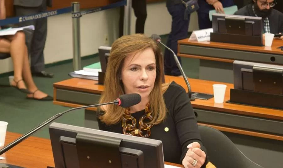 Projeto da deputada Dorinha garante bolsas de pesquisa a servidores tÃÂ©cnicos de Institutos Federais