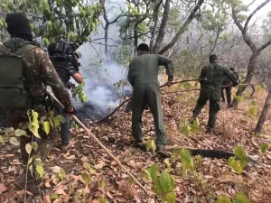 FORÃâ¡AS ARMADAS PROSSEGUEM NA MISSÃÆO DE COMBATE Ãâ¬S  QUEIMADAS NO ESTADO DO TOCANTINS