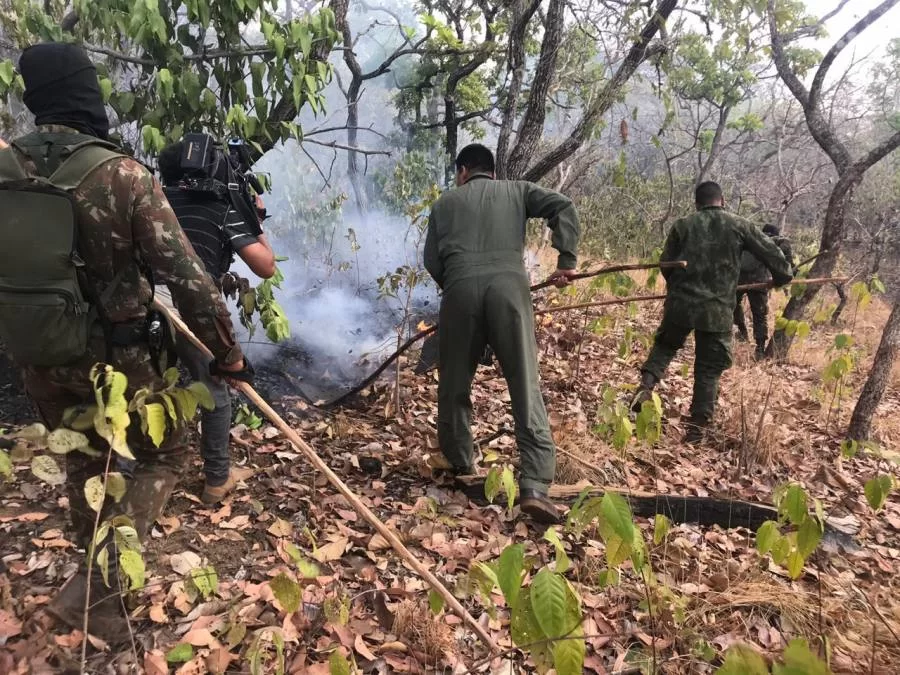 FORÃâ¡AS ARMADAS PROSSEGUEM NA MISSÃÆO DE COMBATE Ãâ¬S  QUEIMADAS NO ESTADO DO TOCANTINS