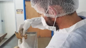 IML realiza identificaÃÂ§ÃÂ£o por mÃÂ©todos cientÃÂ­ficos e aponta importÃÂ¢ncia de prontuÃÂ¡rios odontolÃÂ³gicos