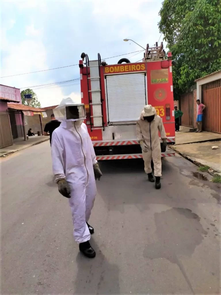 AraguaÃÂ­na: bombeiros militares atendem moradores atacados por abelhas