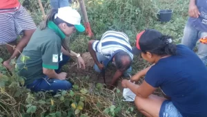 Produtores de Araguatins recebem curso de Trabalhador na RecuperaÃÂ§ÃÂ£o de ÃÂreas Degradadas