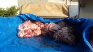 Descaso com a saÃÂºde: FamÃÂ­lias de detentos denunciam mÃÂ¡s condiÃÂ§ÃÂµes de higienizaÃÂ§ÃÂ£o na entrega de carne em Cadeia PÃÂºblica de Colinas do TO