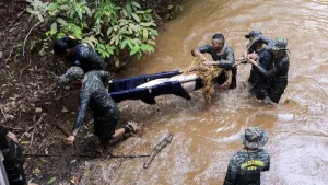 Pirarucu ÃÂ© resgatado e transferido para parte mais alta do Parque Cesamar