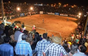 ExposiÃÂ§ÃÂµes agropecuÃÂ¡rias de 2019 finalizaram nesta semana. Presidente comenta sobre importÃÂ¢ncia para economia do estado