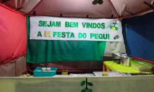 Distrito de BrasilÃÂ¢ndia realiza neste sÃÂ¡bado a tradicional Festa do Pequi