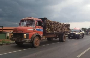 ApreensÃÂµes de madeiras pela PRF aumentam 149% em 2019