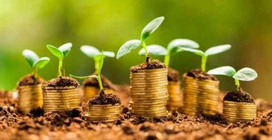 Governo Federal libera 100% do orÃÂ§amento para o seguro rural