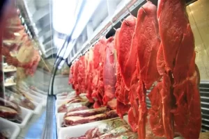 Tocantins apresenta cenÃÂ¡rio positivo em exportaÃÂ§ÃÂµes de carnes, com crescimento de 40%