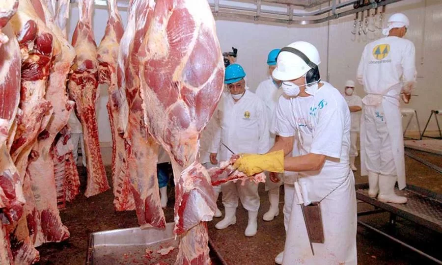 Sindcarnes diz que o Tocantins produzirÃÂ¡ a carne mais cara do Brasil e perderÃÂ¡ competitividade no mercado nacional
