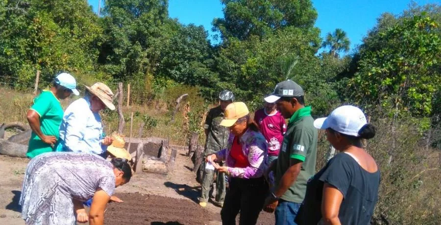 SENAR realiza Curso de Trabalhador na Olericultura no municÃÂ­pio de Peixe