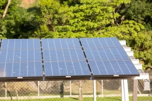 Bolsonaro diz que decisÃÂ£o sobre taxaÃÂ§ÃÂ£o de energia solar cabe ÃÂ  Aneel