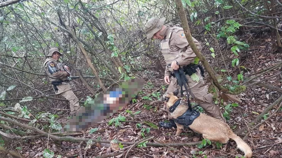 CÃÂ£o farejador da polÃÂ­cia auxilia na detenÃÂ§ÃÂ£o de homem acusado de estupro