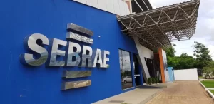 Sebrae informa: DeclaraÃÂ§ÃÂ£o Anual do MEI 2019 deve ser feita atÃÂ© 31 de maio
