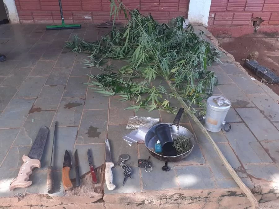 Guarda Metropolitana localiza carro roubado, pÃÂ© de maconha e peÃÂ§as de motos em residÃªncia