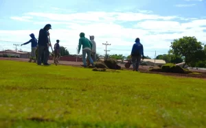 Prefeitura pede ÃÂ  comunidade que denuncie quem retira materiais de obra pÃÂºblica no Aureny III
