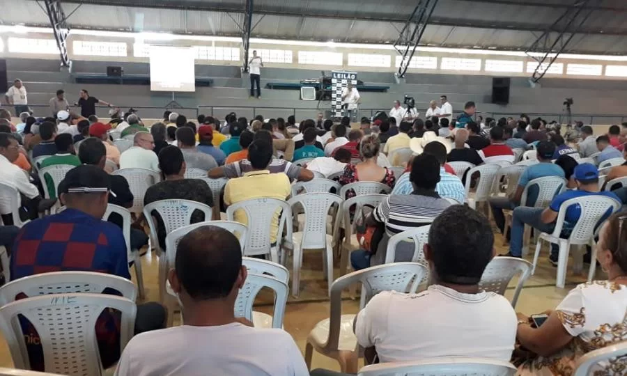 Detran do Tocantins realiza primeiro leilÃÂ£o pÃÂºblico de veÃÂ­culos apreendidos