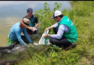 Piscicultor comemora resultados na produÃÂ§ÃÂ£o com AssistÃªncia TÃÂ©cnica e Gerencial do Senar