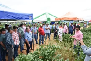 5ÃÂº Dia de Campo do FazendÃÂ£o recebe mais de 900 participantes em Cariri