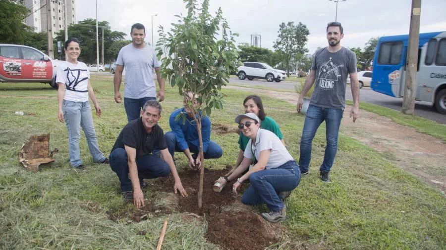 Plantio de ÃÂ¡rvores deve resultar na formaÃÂ§ÃÂ£o de um bosque na Avenida JK