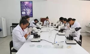 Editais de pesquisa cientÃÂ­fica sÃÂ£o prorrogados atÃÂ© a prÃÂ³xima quinta-feira, 4