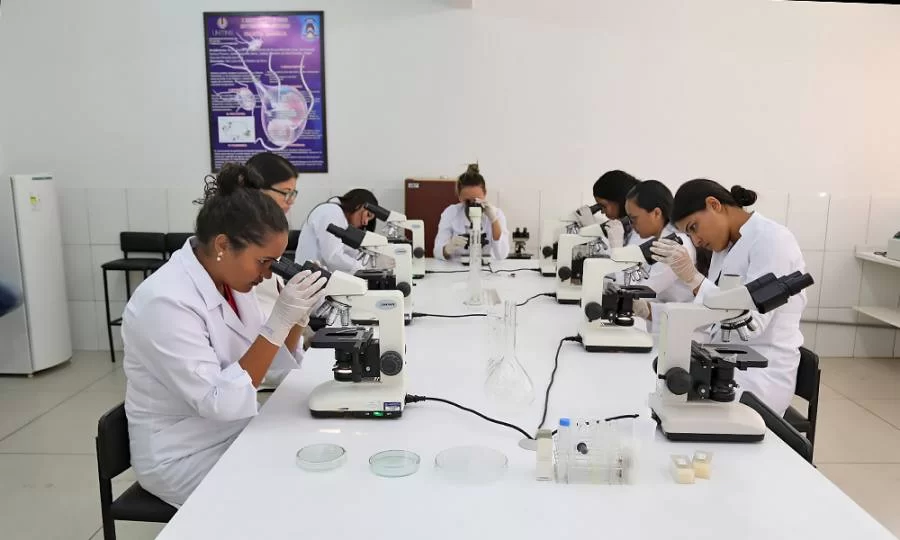 Editais de pesquisa cientÃÂ­fica sÃÂ£o prorrogados atÃÂ© a prÃÂ³xima quinta-feira, 4