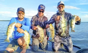 Tocantins lidera o ranking de locais mais procurados para prÃÂ¡tica de pesca esportiva