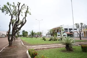 Prefeitura realiza poda de ÃÂ¡rvores como medida preventiva para que continuem saudÃÂ¡veis