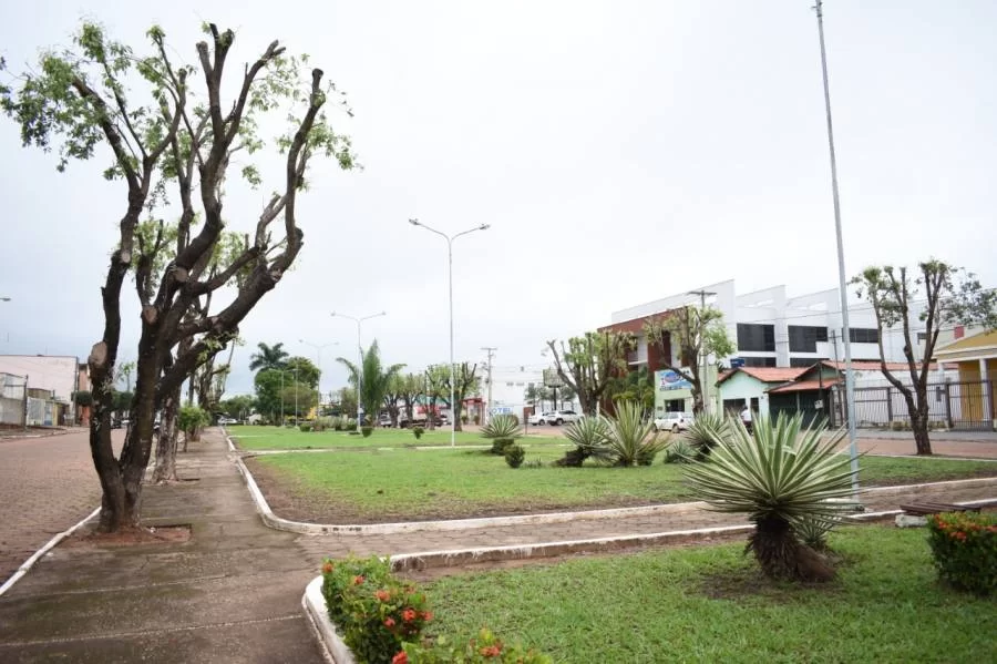 Prefeitura realiza poda de ÃÂ¡rvores como medida preventiva para que continuem saudÃÂ¡veis