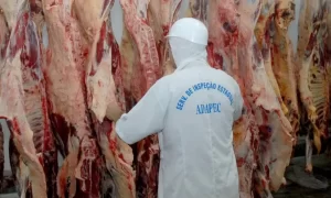 Aberto recadastramento de empresas no serviÃÂ§o de inspeÃÂ§ÃÂ£o estadual