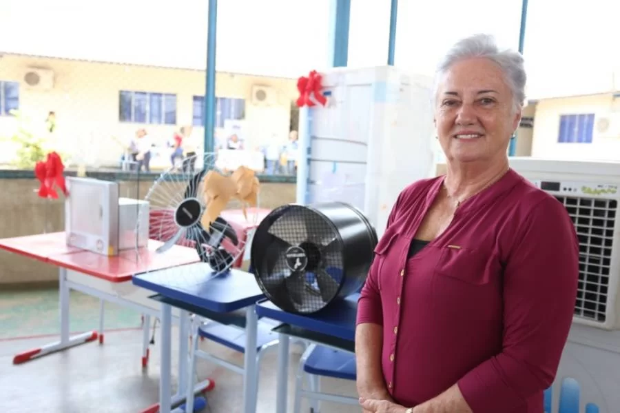 Maria Helena assume presidÃªncia do PPS em Colinas e deve confirmar prÃÂ©-candidatura ÃÂ  prefeitura