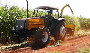 PIB fecha o ano de 2019 com crescimento de 1,1% em relaÃÂ§ÃÂ£o a 2018