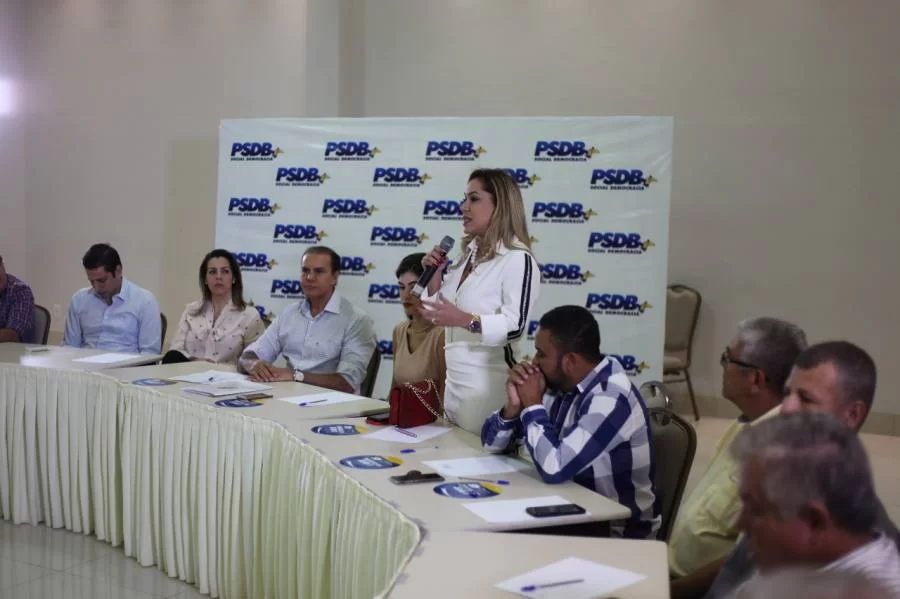 Luana Ribeiro participa de reuniÃÂ£o com membros do PSDB no Tocantins