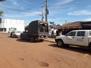 Adapec apreende carga com mudas frutÃÂ­feras irregulares em Miranorte