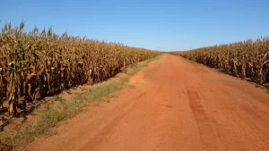 Consultas pÃÂºblicas para o Plano de Zoneamento ecolÃÂ³gico-econÃÂ´mico do Tocantins acontecem a partir de 5 julho