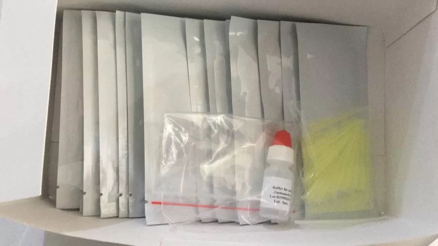 Resultado: Primeiros testes rÃÂ¡pidos para covid-19 dÃÂ£o negativo em AraguaÃÂ­na