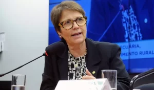 Ministra diz que governo estuda mecanismos para melhorar a vida dos empresÃÂ¡rios e que os estados devem avaliar os valores dos seus ICMS